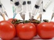 OGM: contrari europei Basf rinuncia