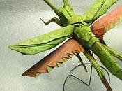insetti straordinari _Origami