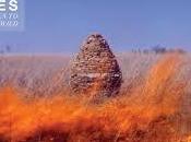 Classifica inglese:i ritorni Bruno Mars Jessie vetta.Focus Maccabees(n.4)