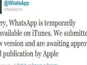 Whatsapp nuovo Store