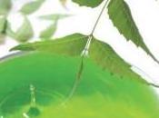 L’olio neem