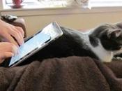 tablet rimpiazzera’ notebook