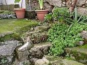 L'erba vicino (quasi) sempre verde...