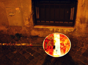 Animali Segnali Stradali (parte