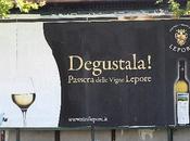 Passere lisce passere delle vigne