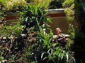 Giardini mestieri_il botanico, Patrick Blanc 2009