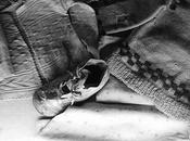 27/01/1945 27/01/2012