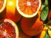 Dieta combattere l’influenza
