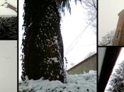 prima nevicata 2012!!