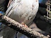 Ultimi giorni gennaio