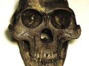 Cosa direbbero fossili umani degli inizi XXImo secolo?