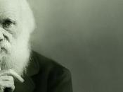Secondo teoria Darwin stiamo estinguendo perchè siamo religiosi!
