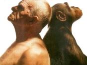 Strano essere l’uomo