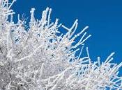 giorni della Merla: leggenda