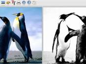 FotoSketcher, trasformare foto opere d’arte gratis Windows