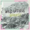 Wild Nothing Nowhere Video Testo Traduzione
