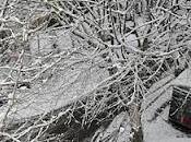 Neve!!!!! snow!!!!