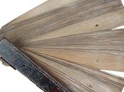 nostro destino gia' scritto... sulle foglie palma!