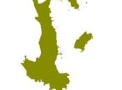 Made Italy