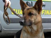 Mafia: sequestrati beni. Coinvolto anche genero Riina