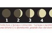 semine Febbraio Luna crescente