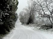 Neve maltempo Blocchi disagi sulla Carlo Felice altre arterie sarde