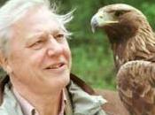 naturalista Attenborough: «fede compatibile evoluzione biologica»