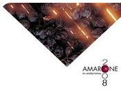 Anteprima Amarone 2008