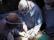 Staminali: scoperte super-cellule rigenerano cuore!