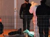 Crime News Treviso: uomo freddato davanti fabbrica dove lavorava