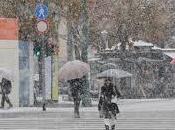 Distratti, giustamente, dalla neve dalle conseguenze settimana siamo dimenticati stiamo, ancora, mantenendo parassiti.