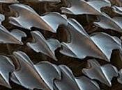 Pelle squalo aumenta spinta propulsiva