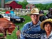 Solo Teorie: Prove Cospirazione (2011)