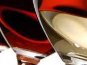 cantina l’enologo febbraio