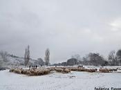 Roma, ancora neve