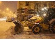 Emergenza maltempo agricoltura: danni