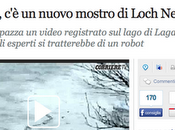 serpentone islandese bufala, sorpresa