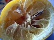 Grecia: telenovelas rispetti tira sempre lungo...