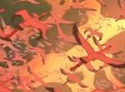 Tutto nostro immaginario minuti