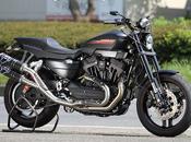 Harley 1200 Custom Team Plain