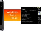 Arriva l’aggiornamento Windows Phone versione Tango