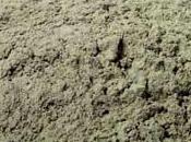 Proprietà benefiche dell'Argilla Verde