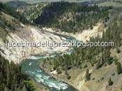 Yellowstone…e mezzo scorre fiume