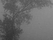 Riderò, sparlerò...