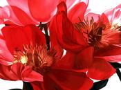 poesia nascosta nelle parole