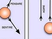 Coerenza, questa sconosciuta
