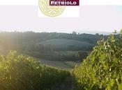 Buona vendemmia!