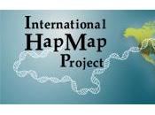 Variabilità genetica: anche Toscana progetto HapMap