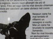 Cane benvenuto… garantisci, anche padrone!