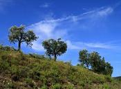 pensieri davanti cielo azzurro